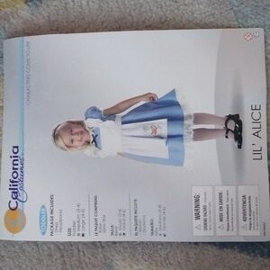 Alice Costume Dress